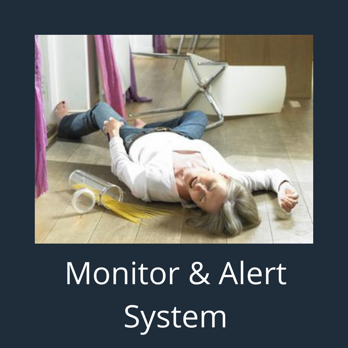 Monitor & Alert System