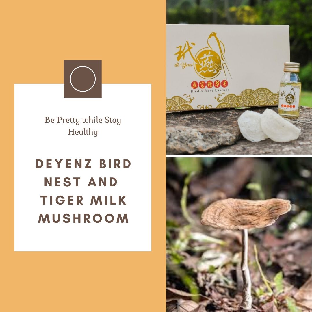 deYenz Bird's Nest and Tiger Milk Mushroom Sharing Session