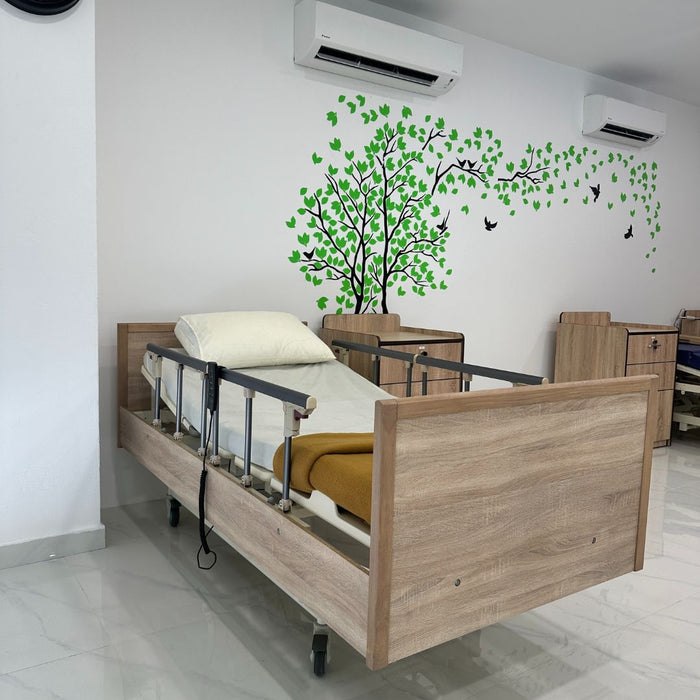 [Stock Clearance] Home Care Bed 3 Function