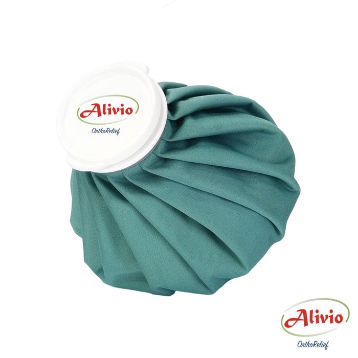 Alivio Ice Hot Bag (Beg sejuk & panas)