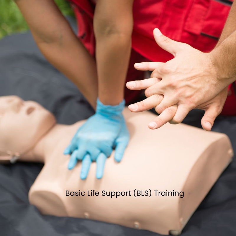 Basic Life Support (BLS) Training- First Aids, CPR, AED Use (per person)