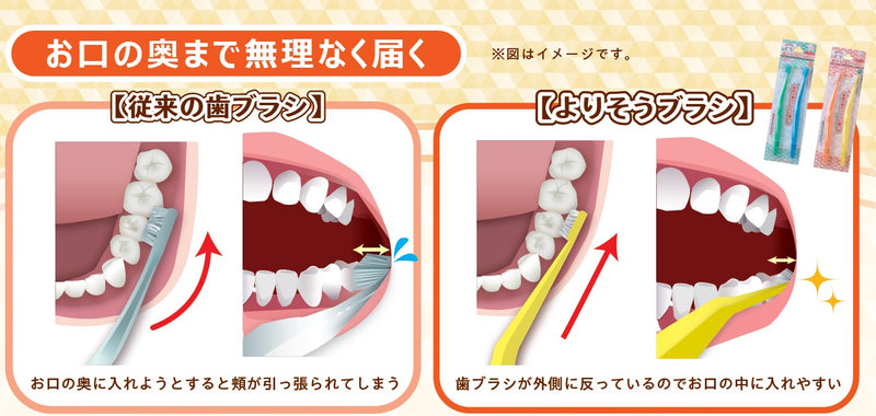 ComfortFit Tooth Brush | Hakuzo (2 pcs per pack)