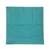Helaian Pemindahan Pesakit (Pendek 52x52 cm) EZ-251 | EZ-GO