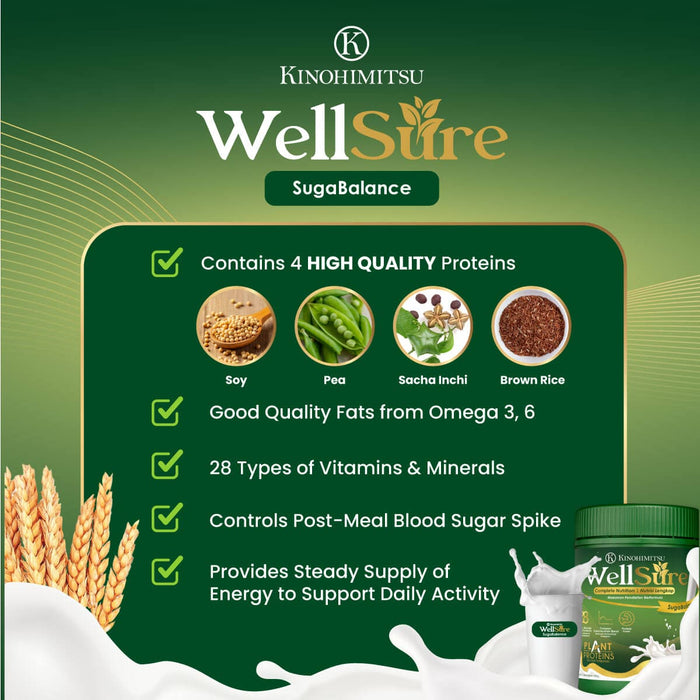 WellSure SugaBalance 850g (Diabetics formula)(Plant Based Complete Nutrition) | Kinohimitsu