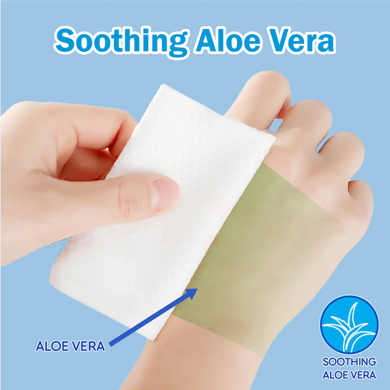 Wetty Wet Tissue Fragrance Free (24 packs/ carton)