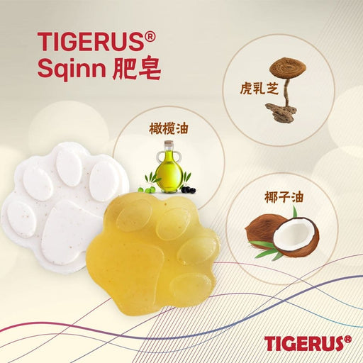 TIGERUS Tiger Milk Mushroom Soap (20mg) - Asian Integrated Medical Sdn Bhd (ielder.asia)