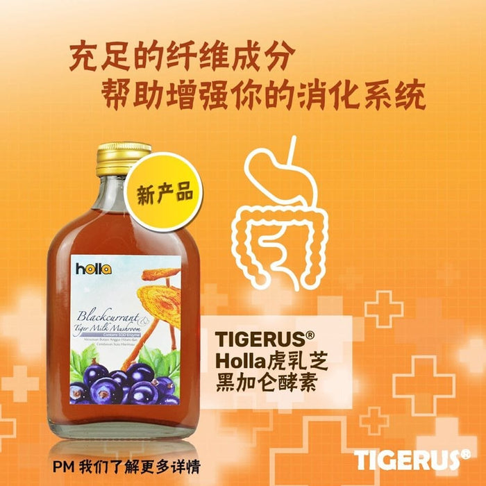 TIGERUS Holla Blackcurrant Tiger Milk Mushroom (190ml) - Asian Integrated Medical Sdn Bhd (ielder.asia)