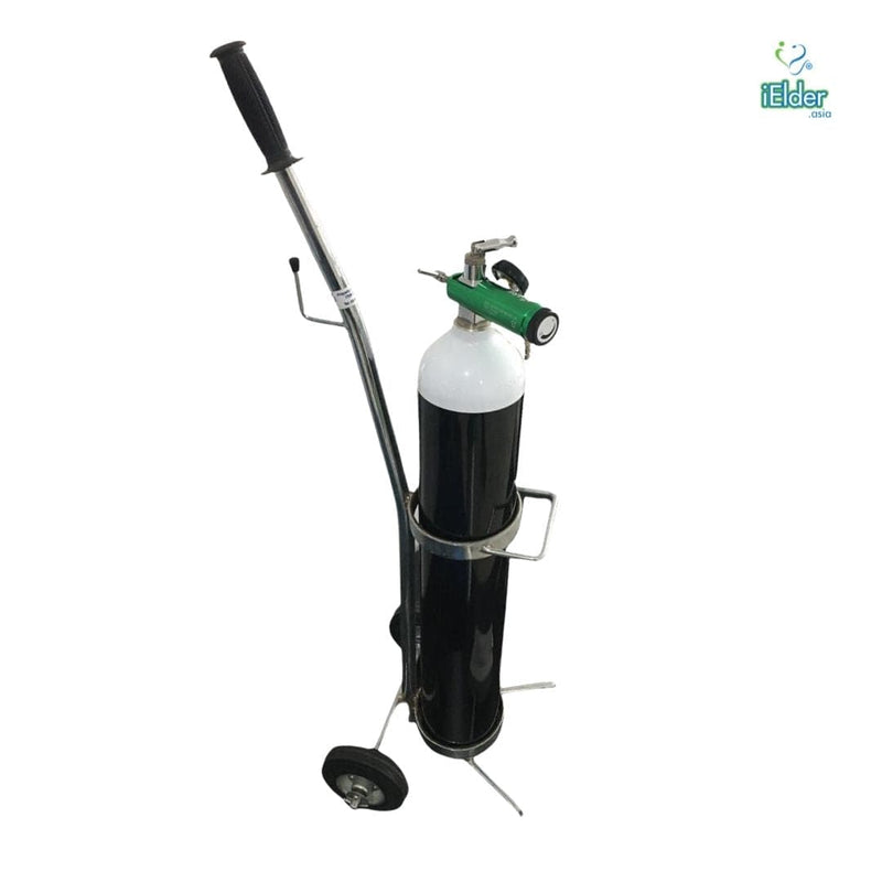 Portable Oxygen Therapy Tank Size E (4.6l)