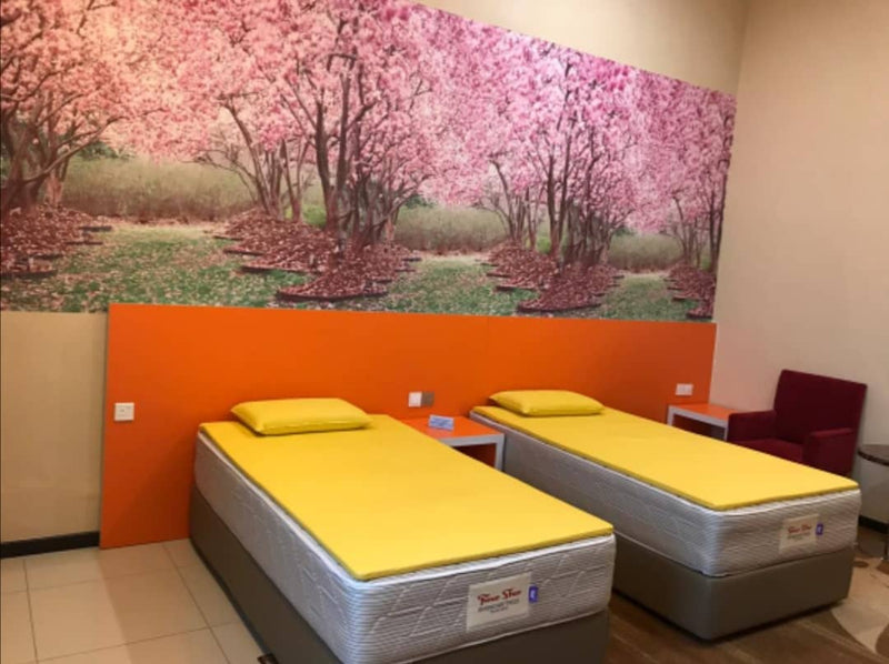 Aqua Mattress FREE Pillow and Cushion | OCA