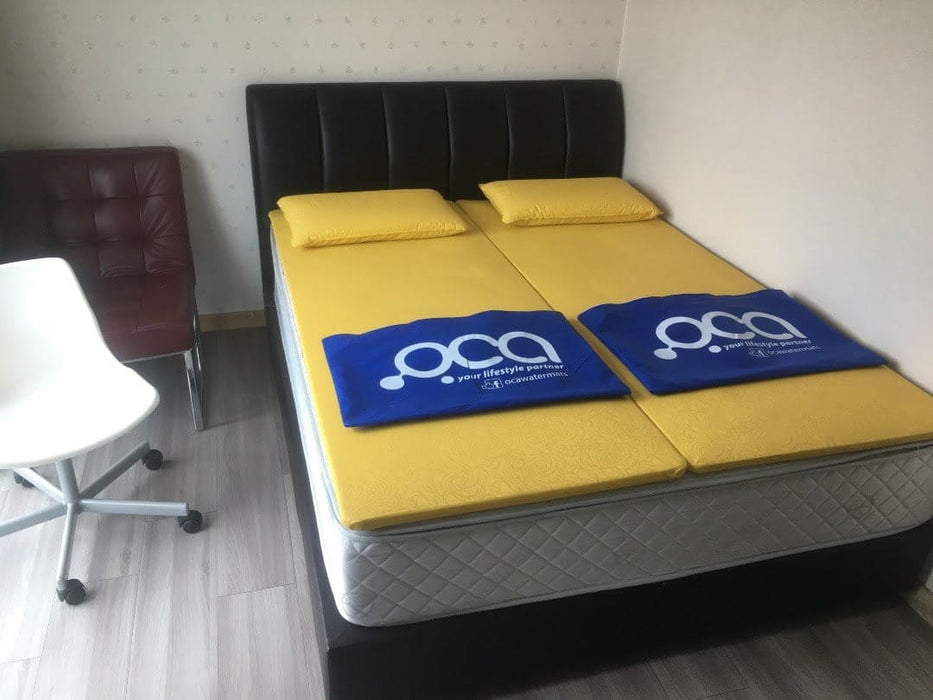 Aqua Mattress FREE Pillow and Cushion | OCA