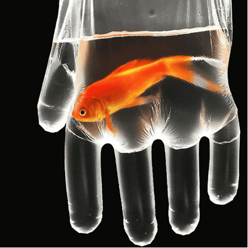 Multi Purpose Light Duty Single Use Glove (100pcs/box) | HDX