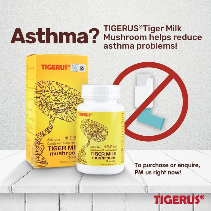 TIGERUS® Tiger Milk Mushroom Sclerotia (300mg x 60 Vegecaps)