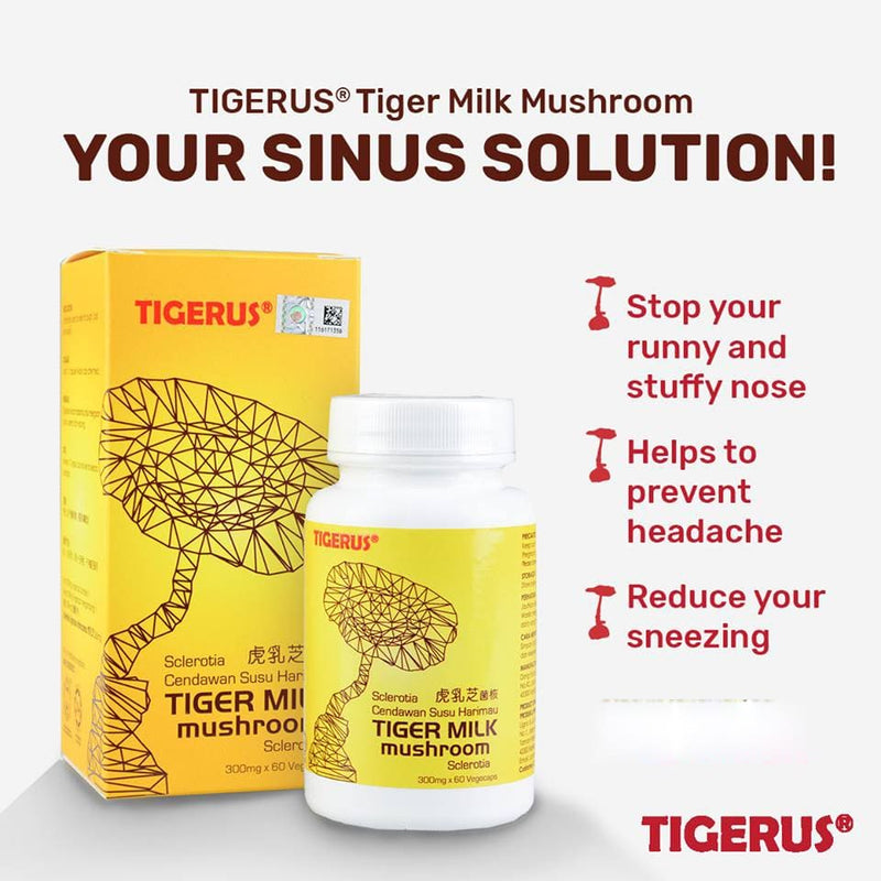 TIGERUS® Tiger Milk Mushroom Sclerotia (300mg x 60 Vegecaps) [Expire Date: 11 Nov 2025]
