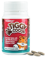 TIGERUS TIGGY Cocoa Chewable Tablets (500mg x 60 tablets) - Asian Integrated Medical Sdn Bhd (ielder.asia)
