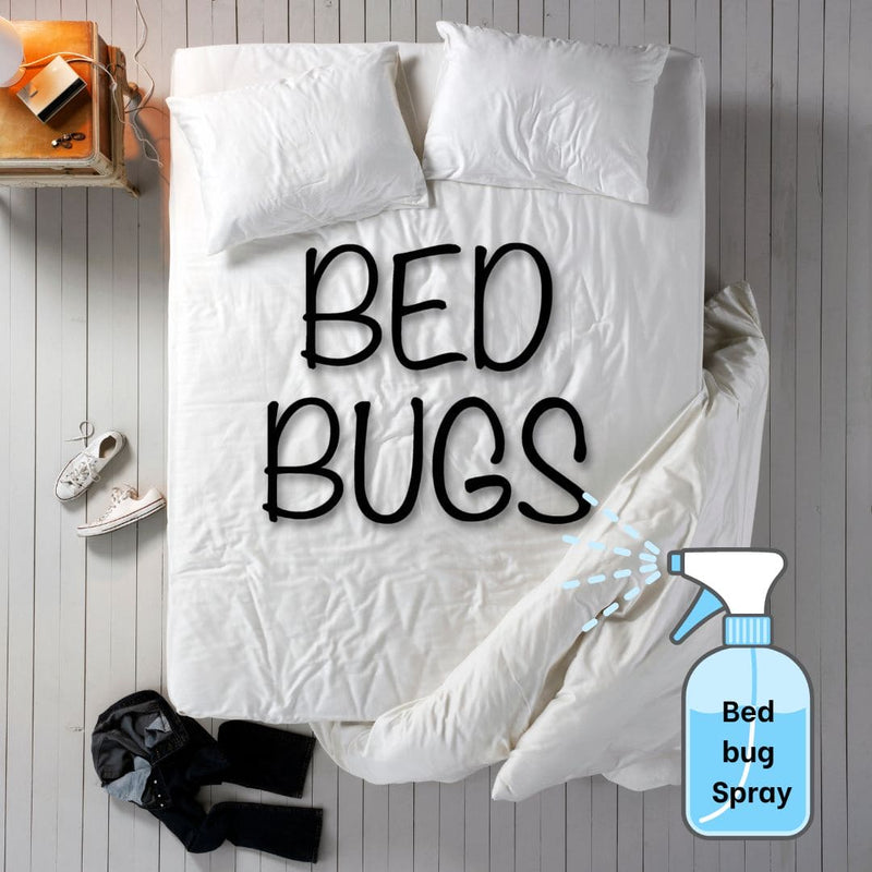 [CSR Free for Old Folks Home] iElder Beg Bug & Dust Mite Control Spray 500ml | Lavender