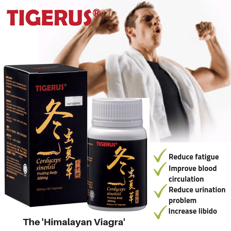 TIGERUS® Cordyceps Sinensis Fruiting Body (300mg x 60 Vegecaps) - Asian Integrated Medical Sdn Bhd (ielder.asia)