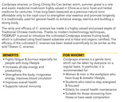 TIGERUS® Cordyceps Sinensis Fruiting Body (300mg x 60 Vegecaps) - Asian Integrated Medical Sdn Bhd (ielder.asia)