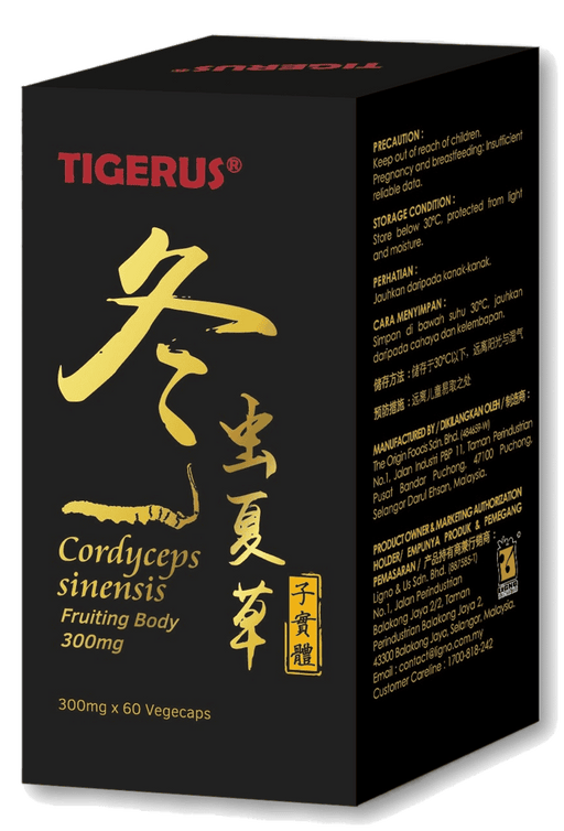 TIGERUS® Cordyceps Sinensis Fruiting Body (300mg x 60 Vegecaps) - Asian Integrated Medical Sdn Bhd (ielder.asia)