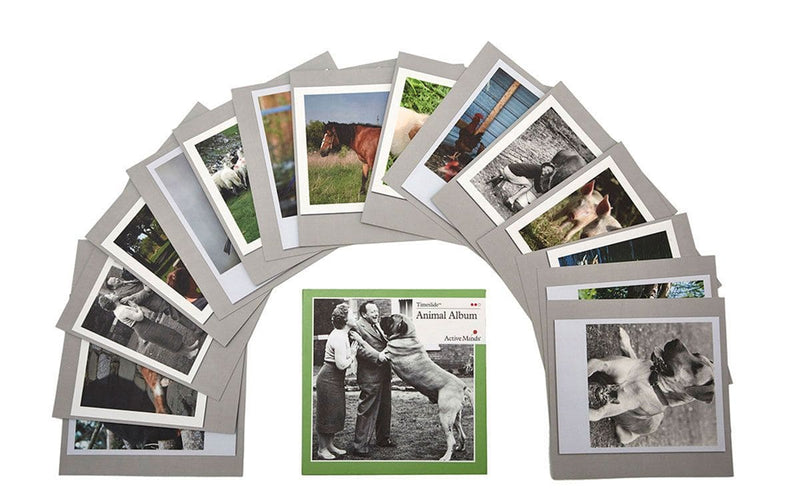 Active Mind Animals Timeslide - Activities For Dementia - Asian Integrated Medical Sdn Bhd (ielder.asia)