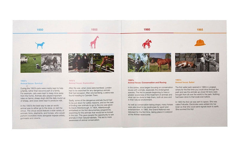 Active Mind Animals Timeslide - Activities For Dementia - Asian Integrated Medical Sdn Bhd (ielder.asia)