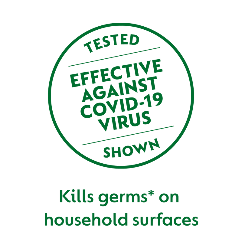 Dettol Antiseptic Germicide Antiseptic Disinfectant Liquid