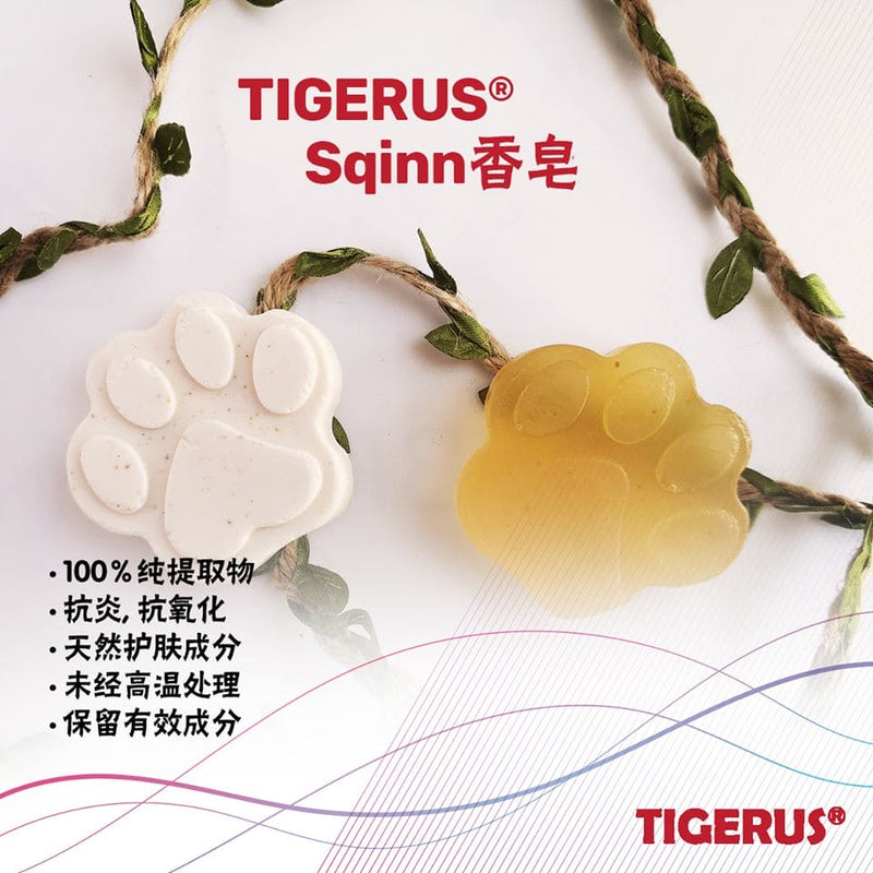 TIGERUS Tiger Milk Mushroom Soap (20mg) - Asian Integrated Medical Sdn Bhd (ielder.asia)