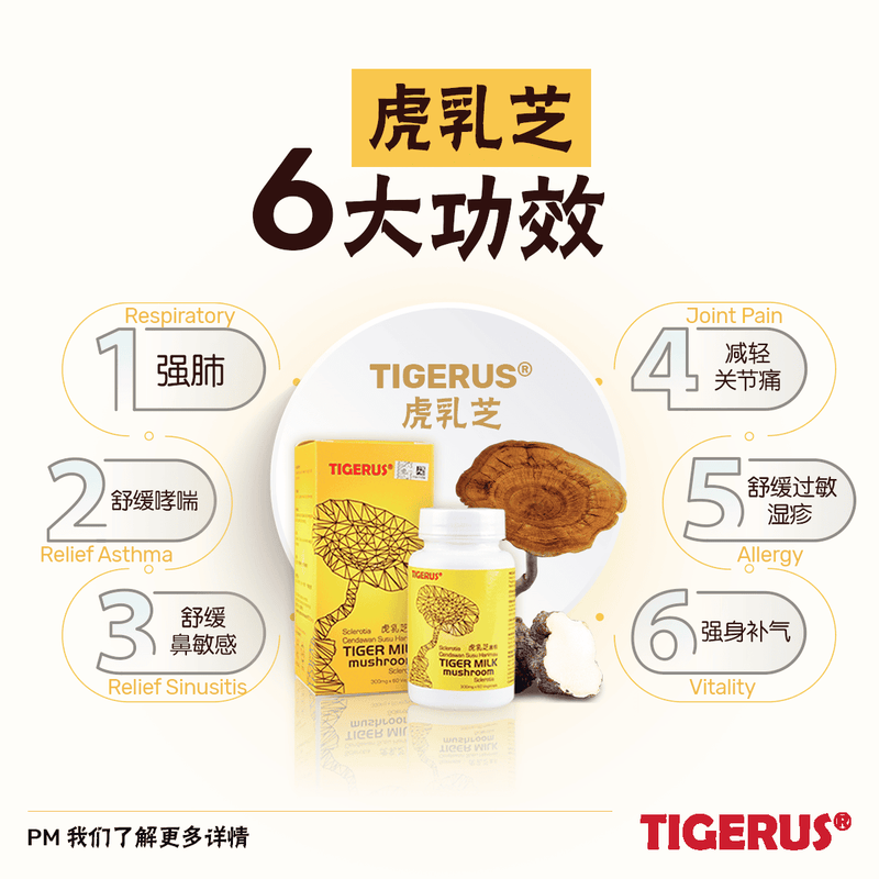 TIGERUS® Tiger Milk Mushroom Sclerotia (300mg x 60 Vegecaps) [Expire Date: 11 Nov 2025]