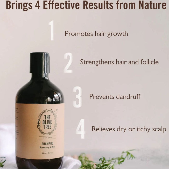 Organic Shampoo and Hair Conditional | Olive Tree
