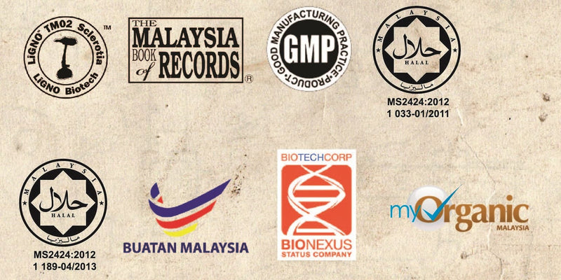 TIGERUS® Cordyceps Sinensis Fruiting Body (300mg x 60 Vegecaps) - Asian Integrated Medical Sdn Bhd (ielder.asia)